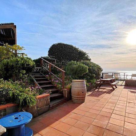 Le Dune Sea View Apartments - Futura Cav San Vincenzo Eksteriør billede