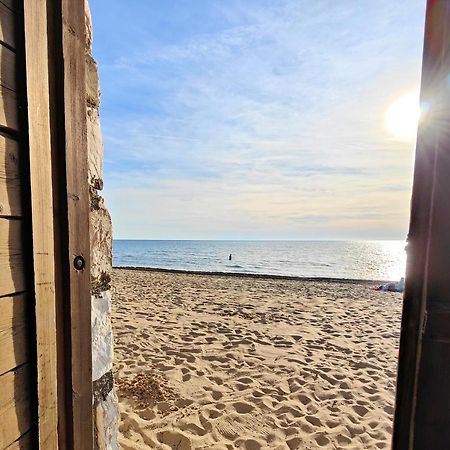 Le Dune Sea View Apartments - Futura Cav San Vincenzo Eksteriør billede